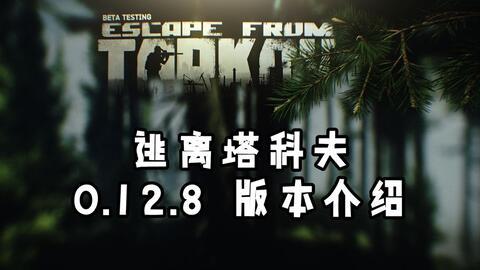 塔科夫最新爆料,揭秘游戏最新动态与未来展望